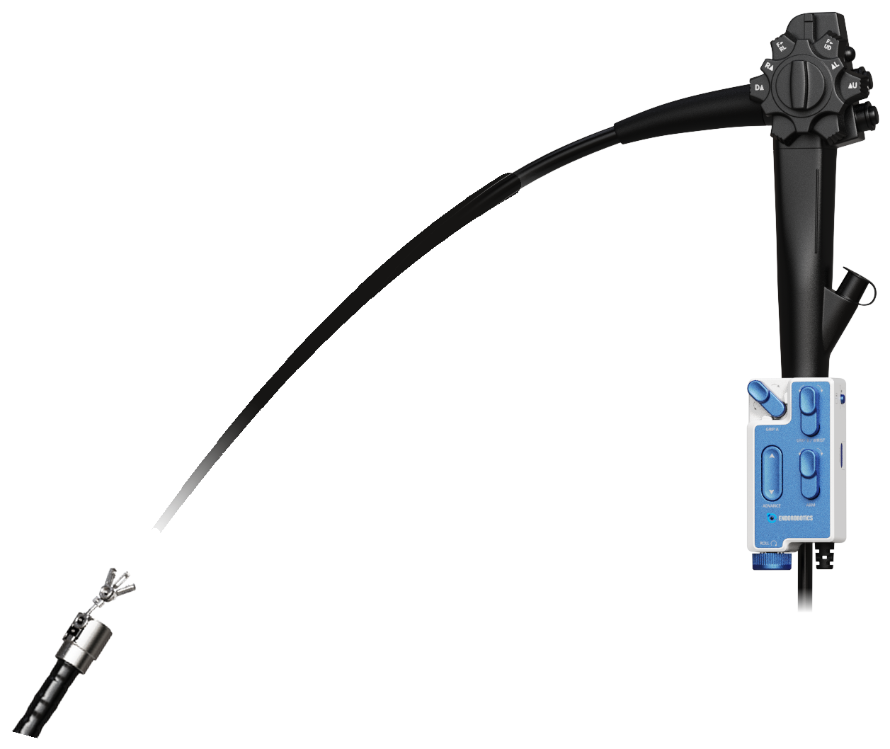 Distal end-effector mount on endoscope